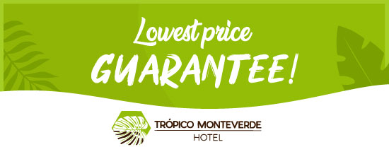 Hotels in Monteverde Costa Rica