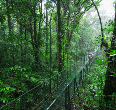 Monteverde Biological Reserve