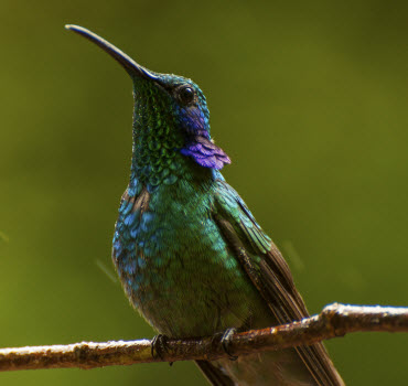 Monteverde Costa Rica