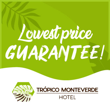 Hotels in Monteverde Costa Rica