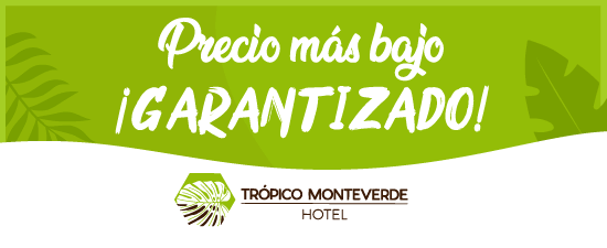 Hotels in Monteverde Costa Rica